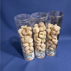 Set of Three Burgundy Snails | Large Escargot Bundle